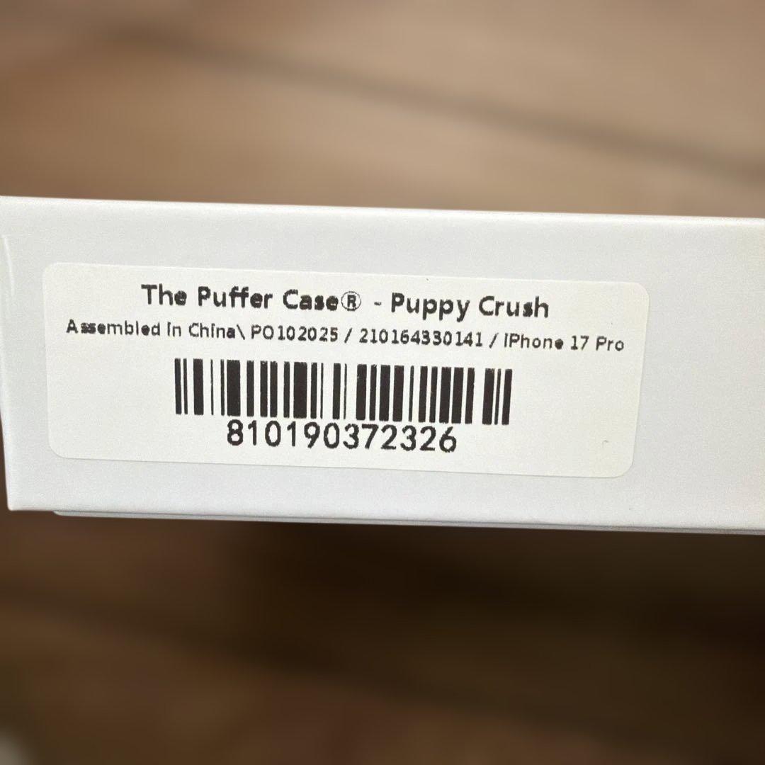 urban sophistication iPhone 17pro ケース P