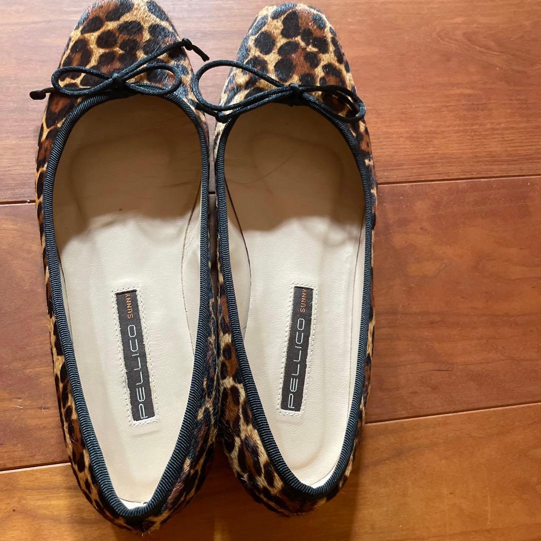 バレーシューズ