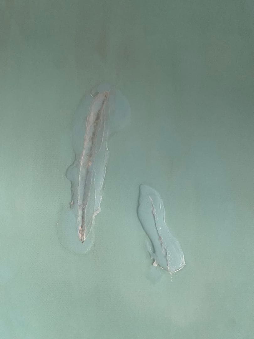 SEASIDE ショートボード