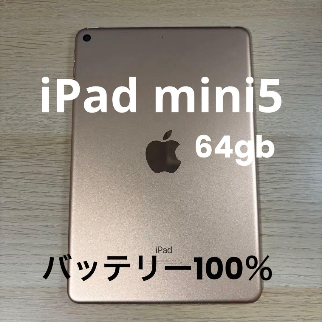 iPad mini 第5世代 ゴールド 64GB ipadmini5 本体