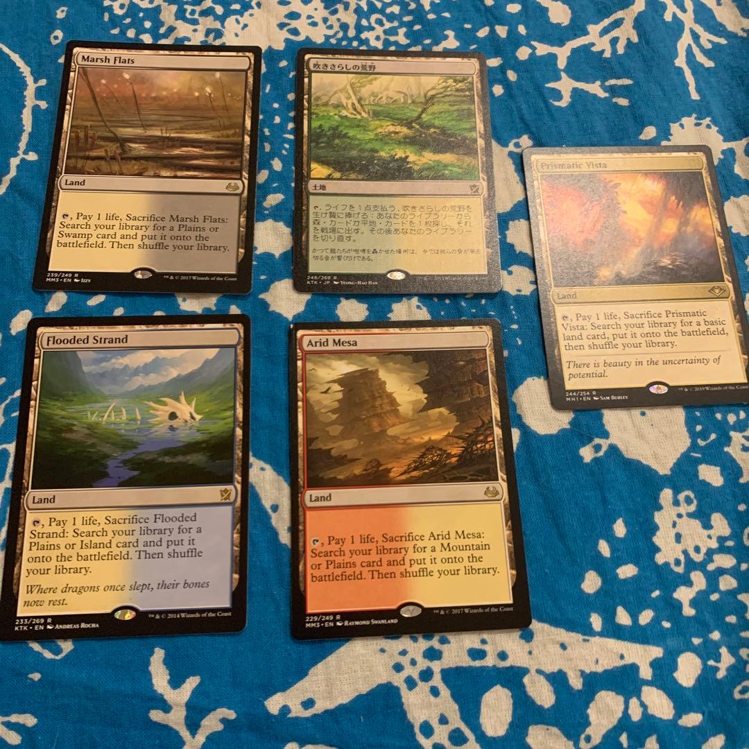 フェッチまとめ売り　湿地の干潟吹きさらしの荒野乾燥台地溢れかえる岸辺虹色の眺望