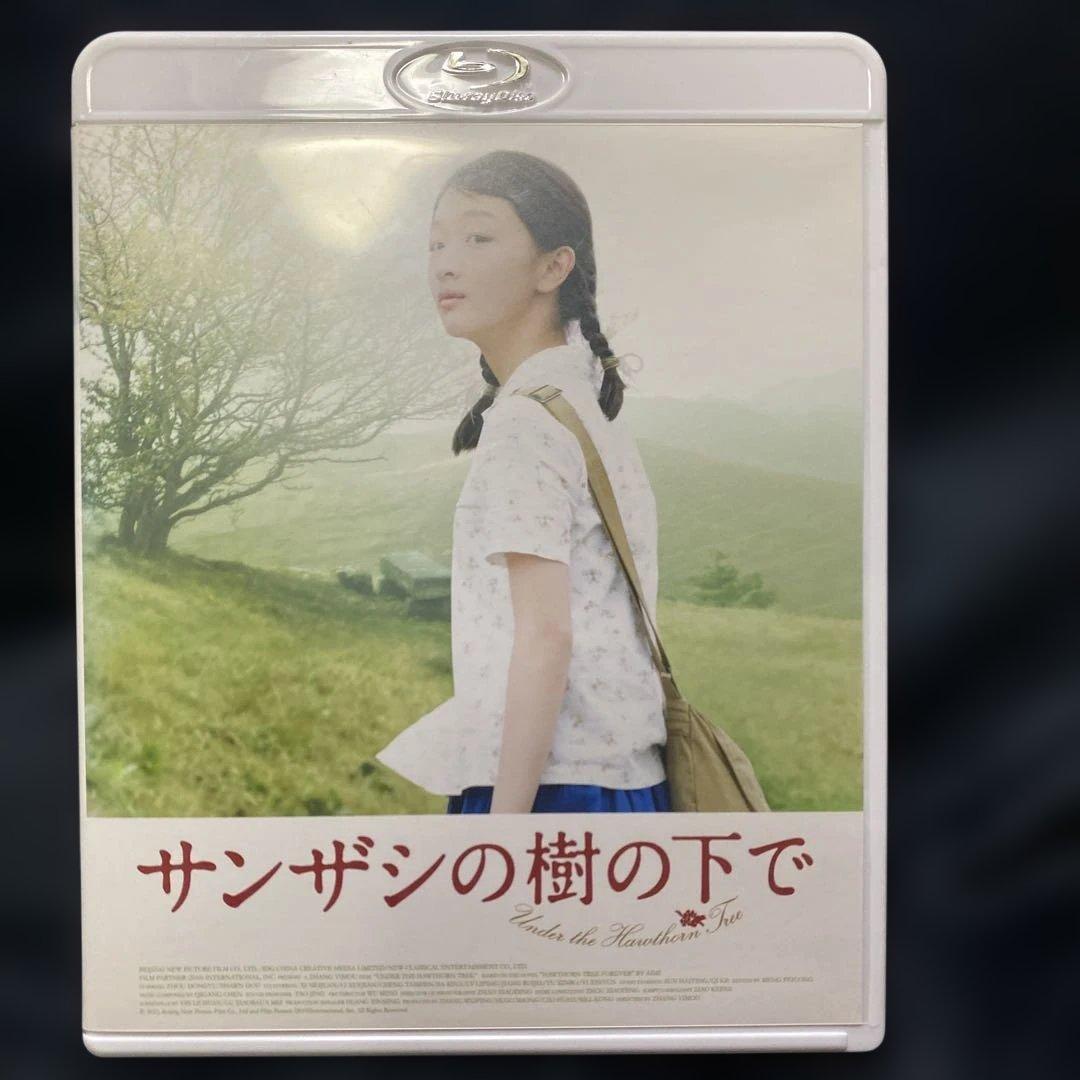 サンザシの樹の下で('10中国)