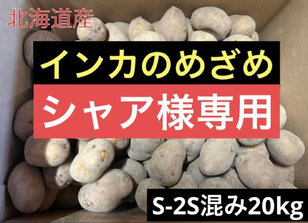 【シャア】北海道産じゃがいも（インカのめざめ）　S-2S混み20kg