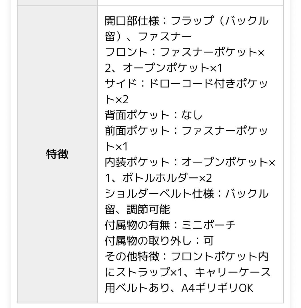 HAYNI 今季 完売品 Lekha ボディバッグ ブラック ミニポーチ付 美品