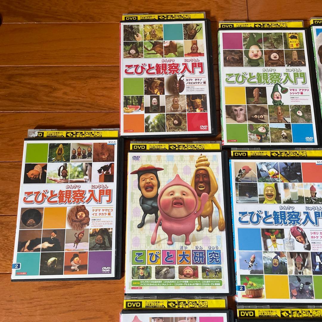 こびとと観察入門 DVD