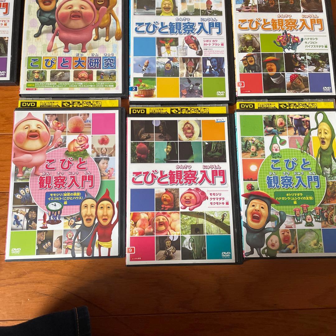 こびとと観察入門 DVD