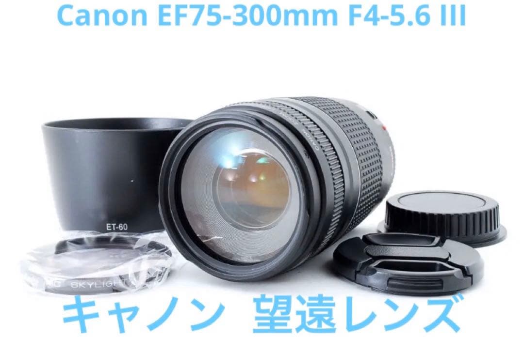 キヤノン　望遠レンズ☆CANON EF 75-300㎜F4-5.6 III