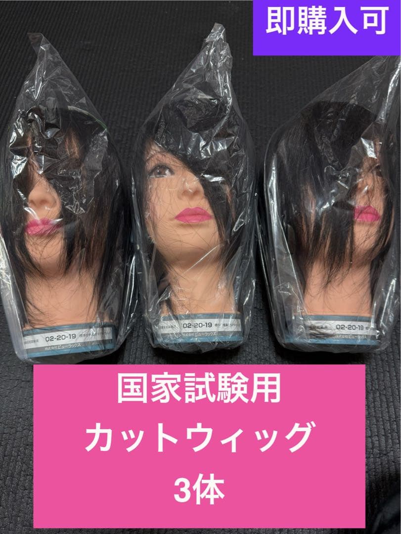 国家試験用カットウィッグ 3体セット