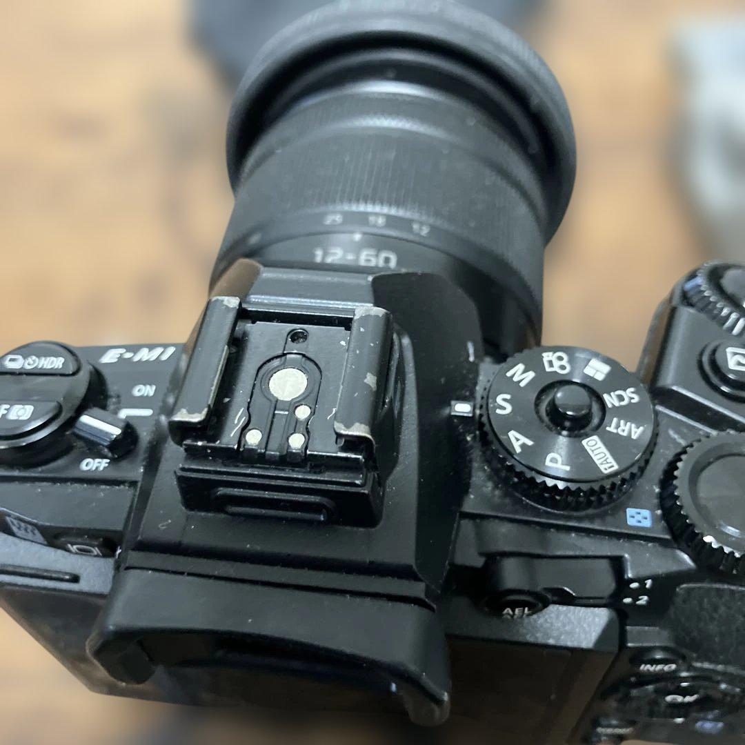 OLYMPUS OM-D E-M1 レンズ　LUMIX 12-60mm