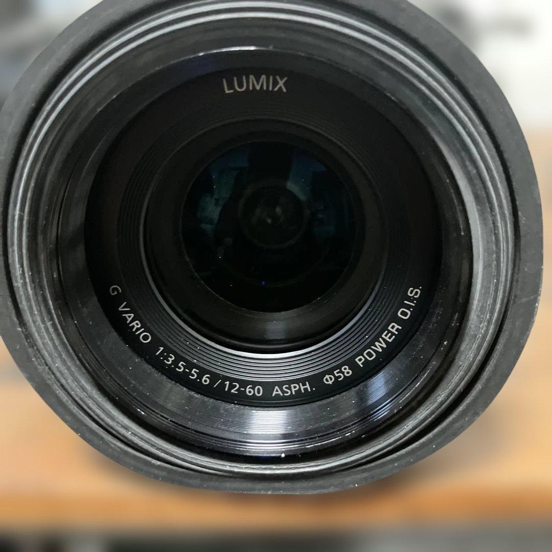 OLYMPUS OM-D E-M1 レンズ　LUMIX 12-60mm