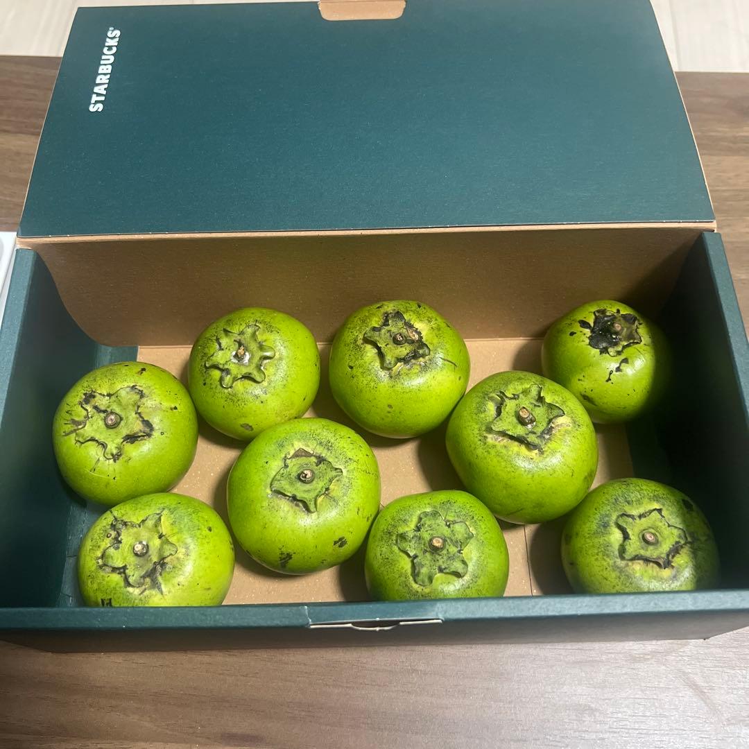 沖縄県産ブラックサポテ