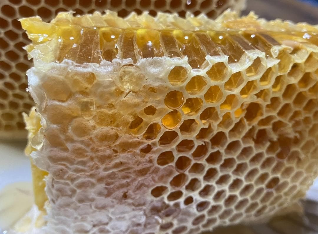 【うずまき】 国産蜂蜜 1000g 2本 長野県産 セイヨウミツバチ