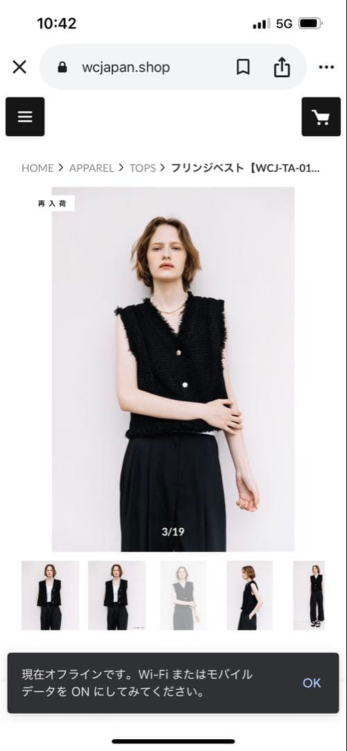 wcj フリンジベスト⭐︎若槻千夏　タグ付き