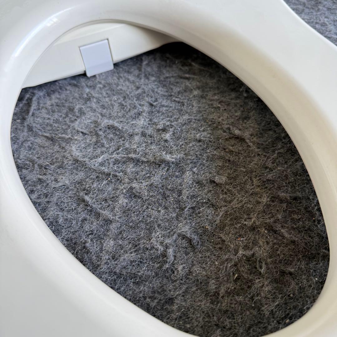 JL8激安早い者勝ち✨ TOTO ウォシュレット TCF8FK55 アイボリー