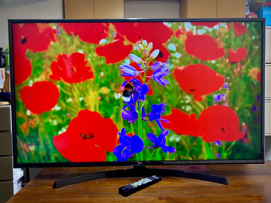 4Kパネル,Wi-Fi,動画アプリ,55インチ液晶テレビ LG 55UK6300
