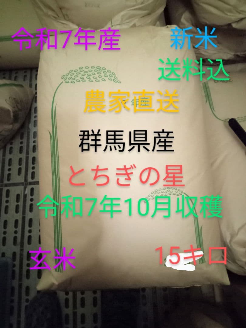 R7年産 新米 群馬県産 とちぎの星 15キロ 玄米 送料込 15kg