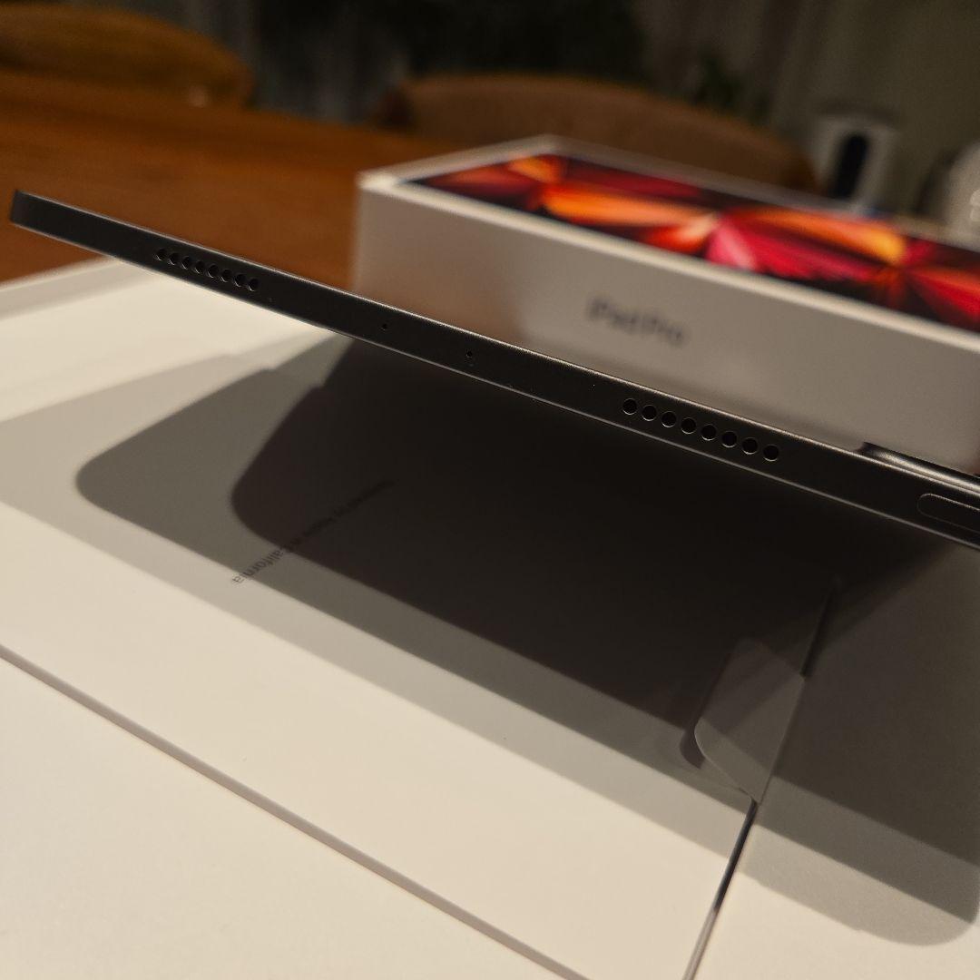 iPadPro11インチ第3世代256GBペン付き充電容量100%ココア！