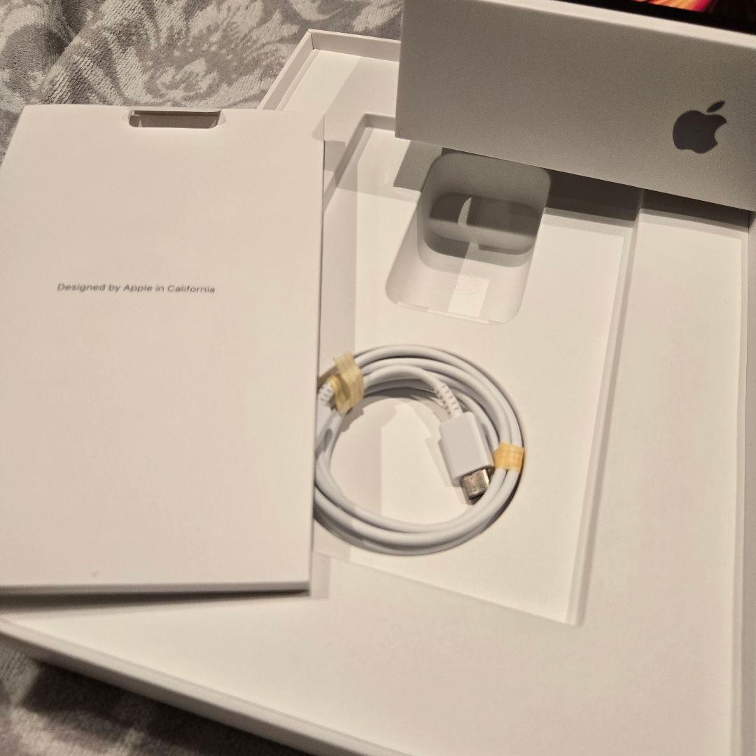 iPadPro11インチ第3世代256GBペン付き充電容量100%ココア！