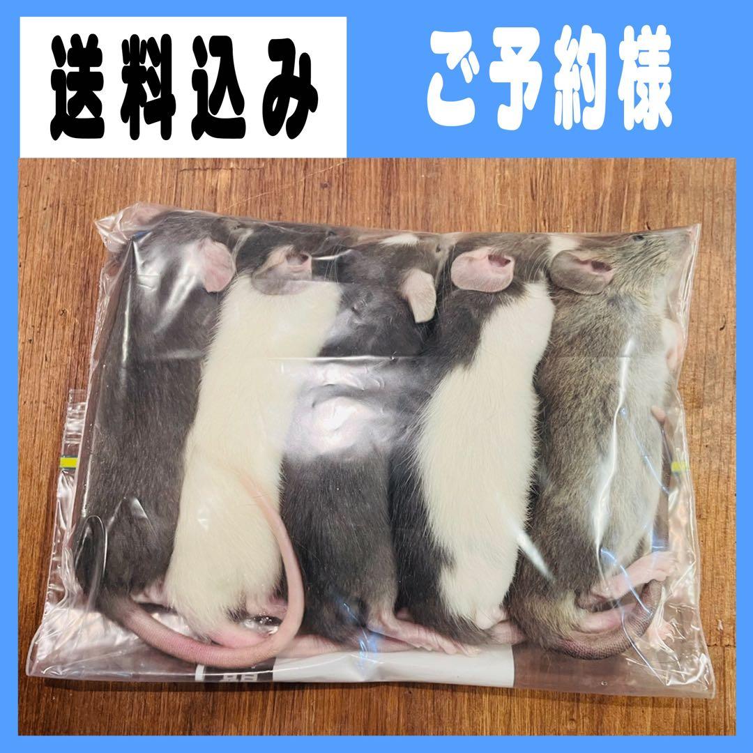 アクアウッド工房　みー吉 フォーム