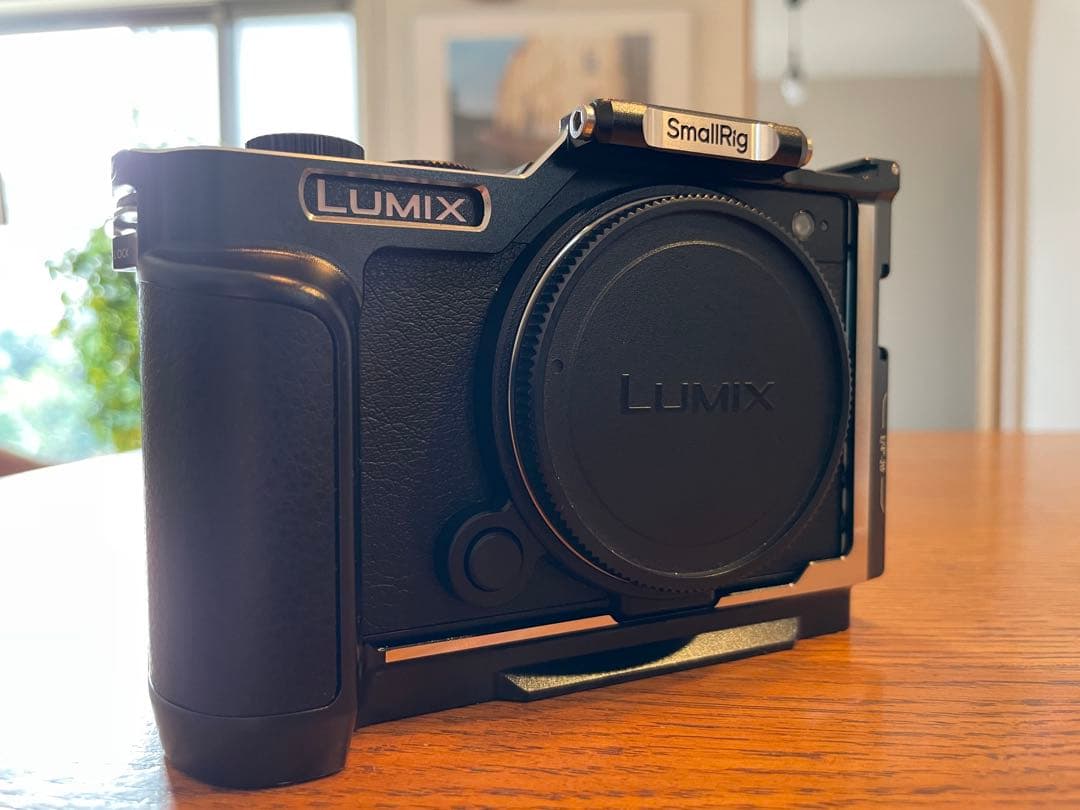 【美品】LUMIX S9 ボディ DC-S9-K ブラック 【即日発送可能】