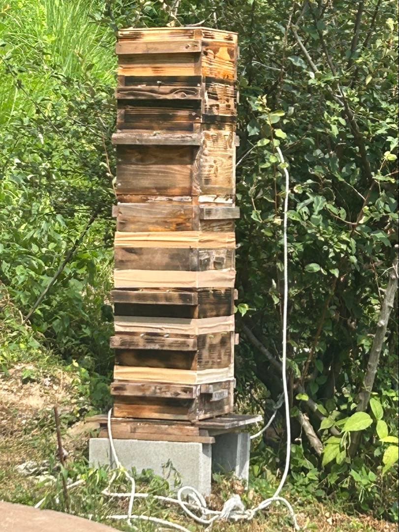 日本みつばち1800g