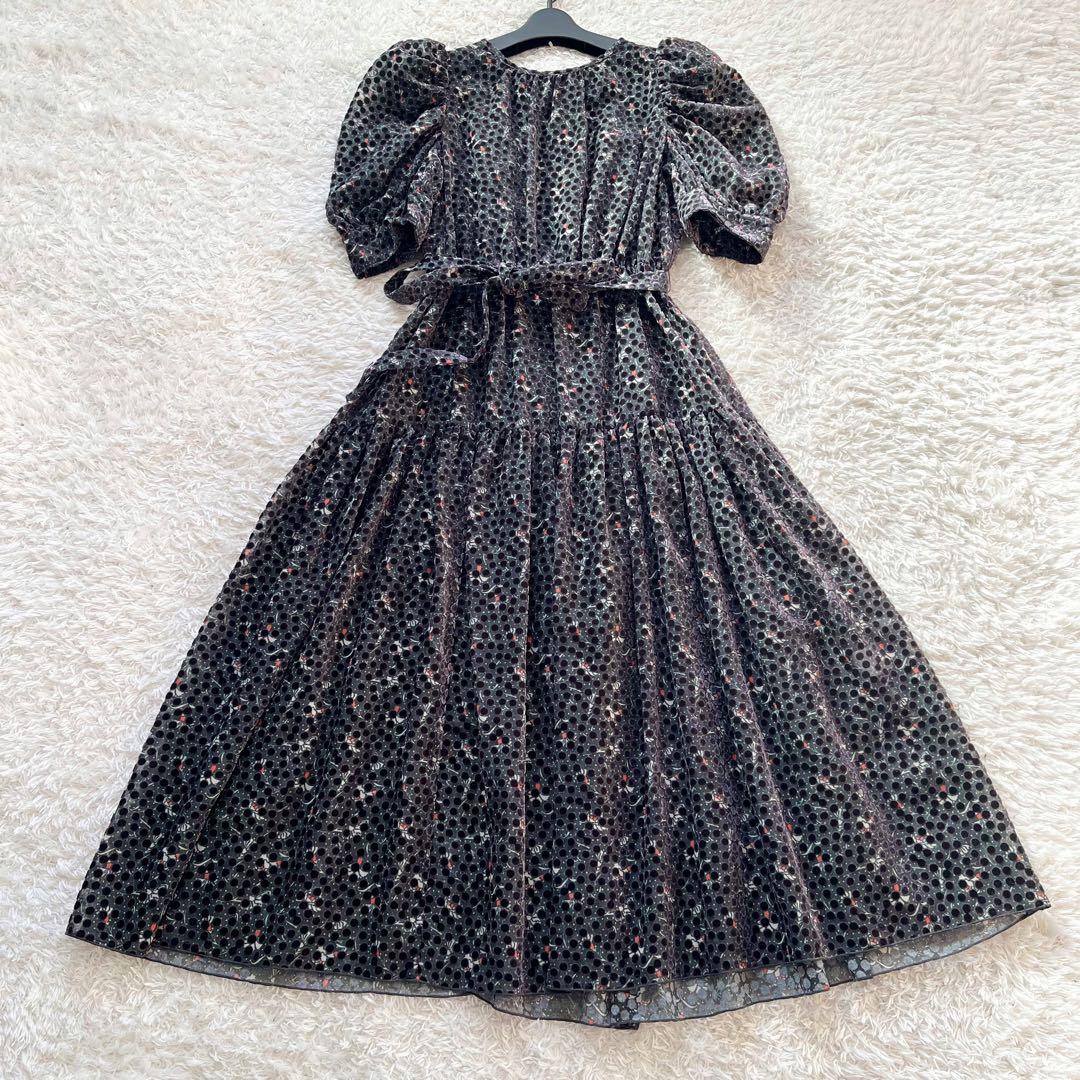 完売品 2025 CORCOVADO フラワーオパールパフスリーブドレス