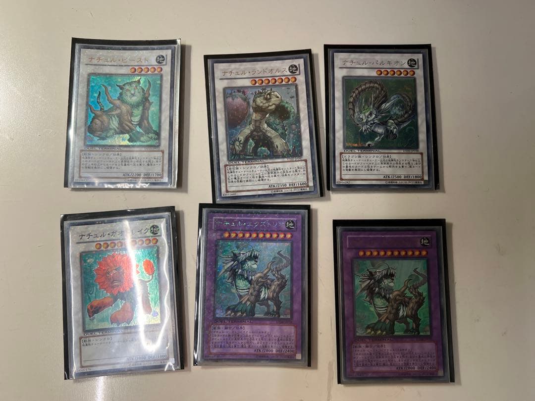 遊戯王 ナチュル・ビースト ランドオルス パルキオン ガオドレイク エクストリオ