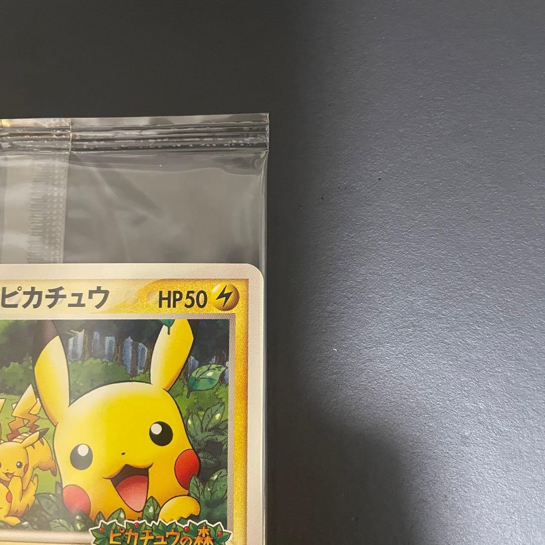 ポケパークのピカチュウ プロモカード 043/PCG-P 未開封