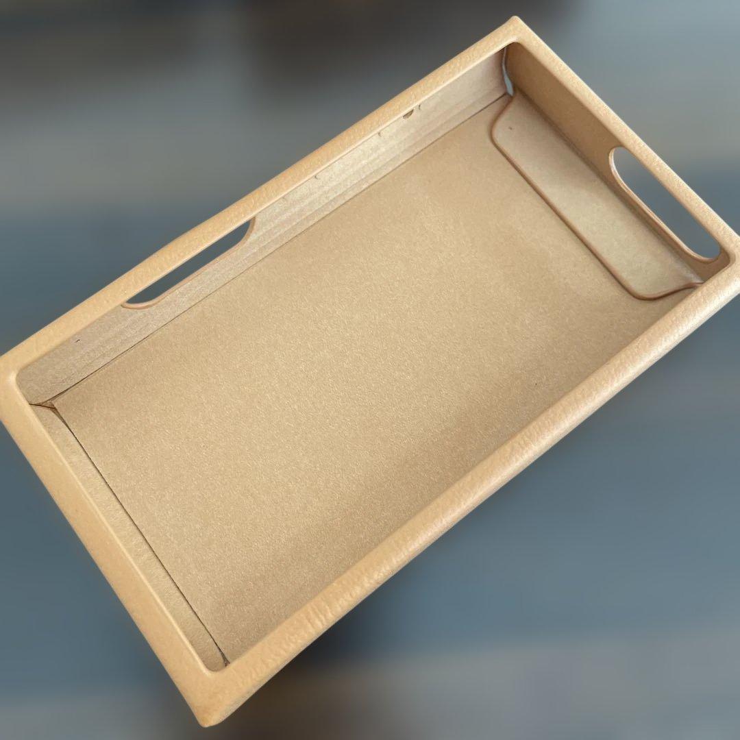 【国内正規品】 FiiO M21 /FIIO SK-M21C 別売りケース付き