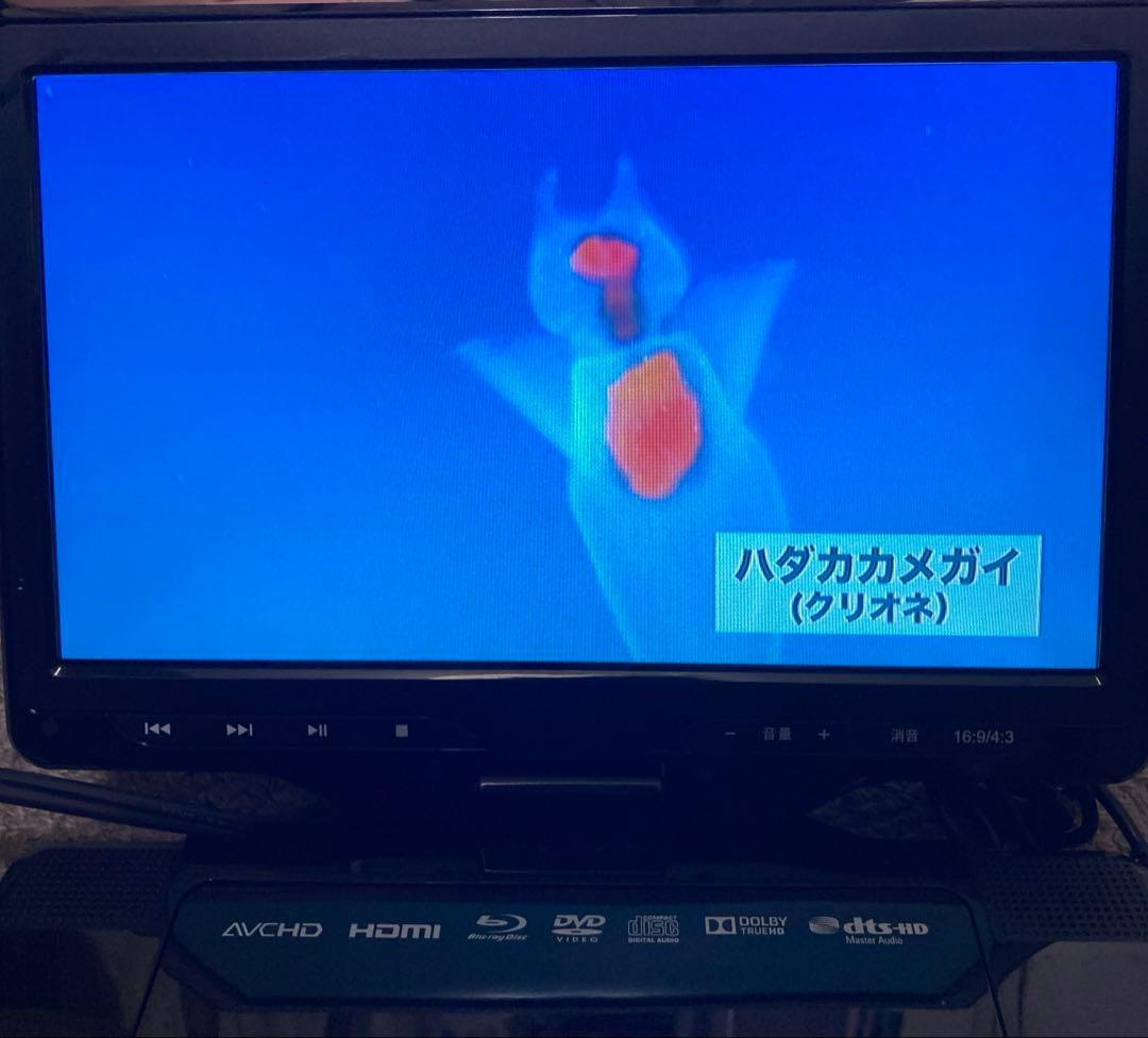 動作品　CHL AVOX ブルーレイプレーヤー APBD-1080HK