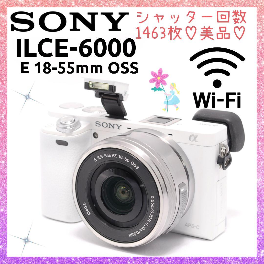 ❤即購入1000円OFF❤SONY α6000 驚異の11コマ/秒!! 高速連写