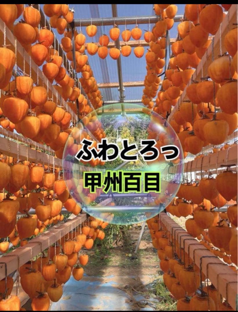 mama 甲州百目柿　大　15個入り