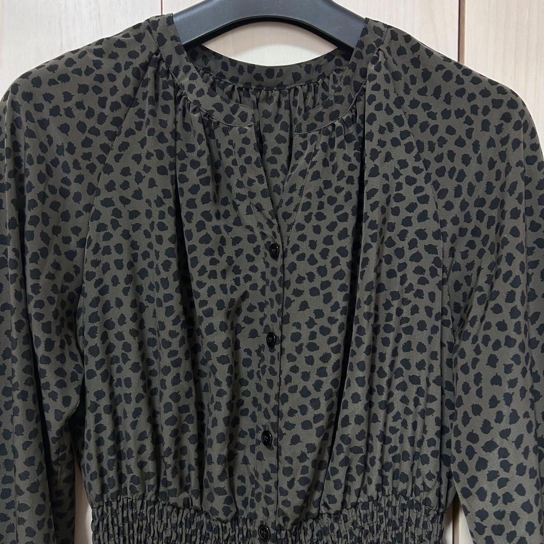 ANAYI アナイ デシンリーフプリントシャーリングワンピース 38 インナー付