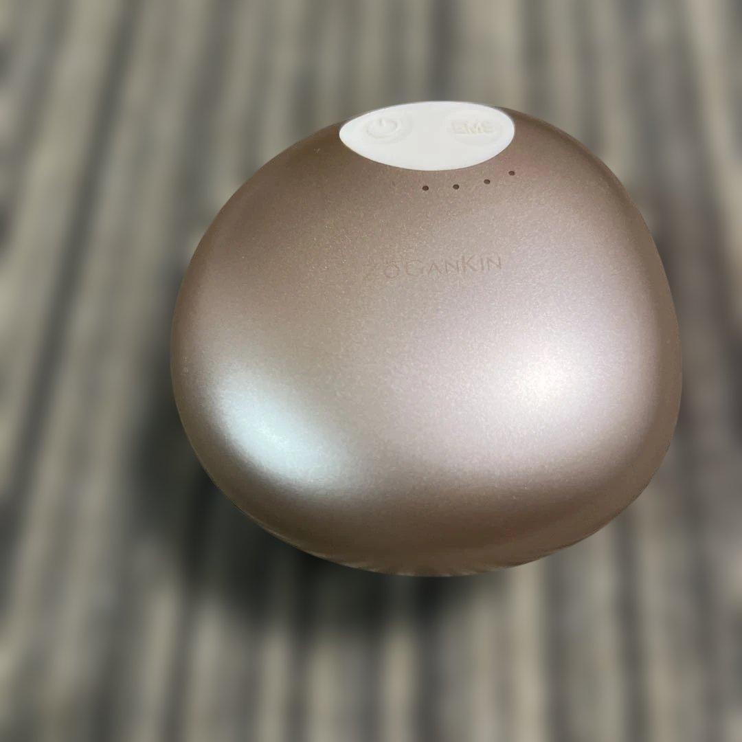 ゾーガンキンスカルプ EMS ヘッドスパ ZOGANKIN スカルプブラシ