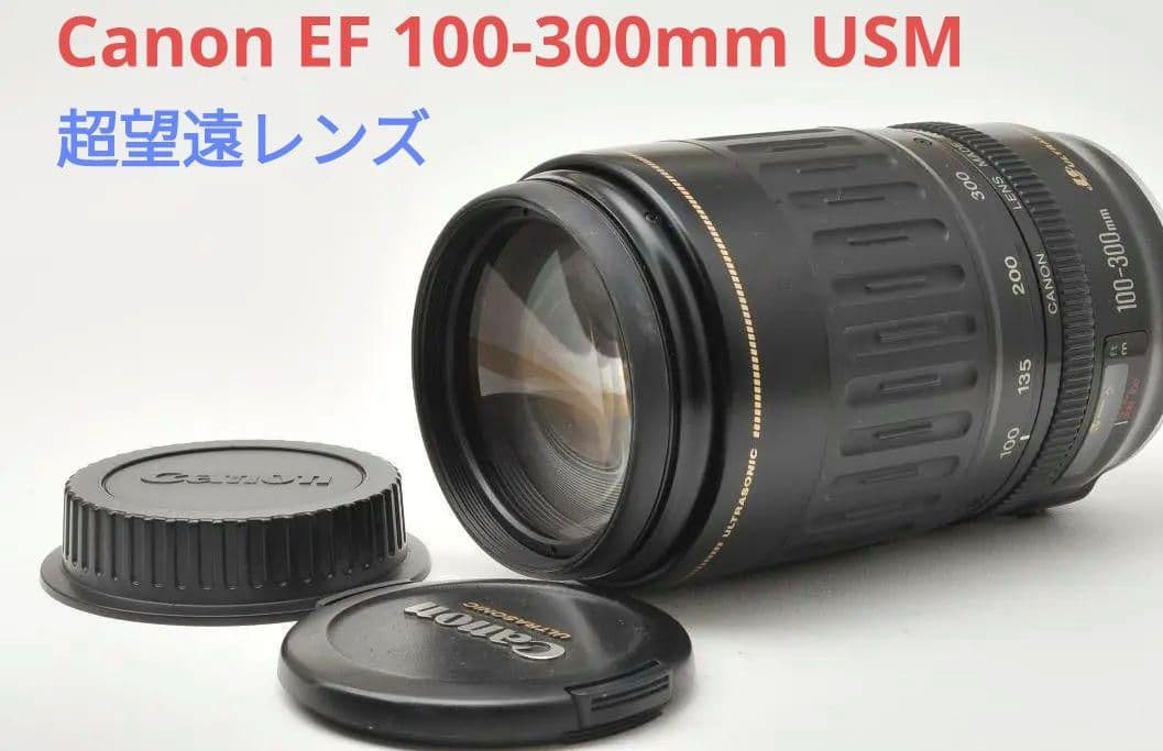 10月26日限定価格♪Canon EF 100-300mm F4.5-5.6