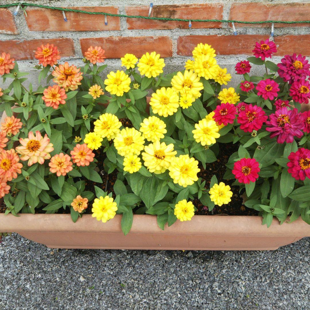 顔を洗う水✨リピーター✨