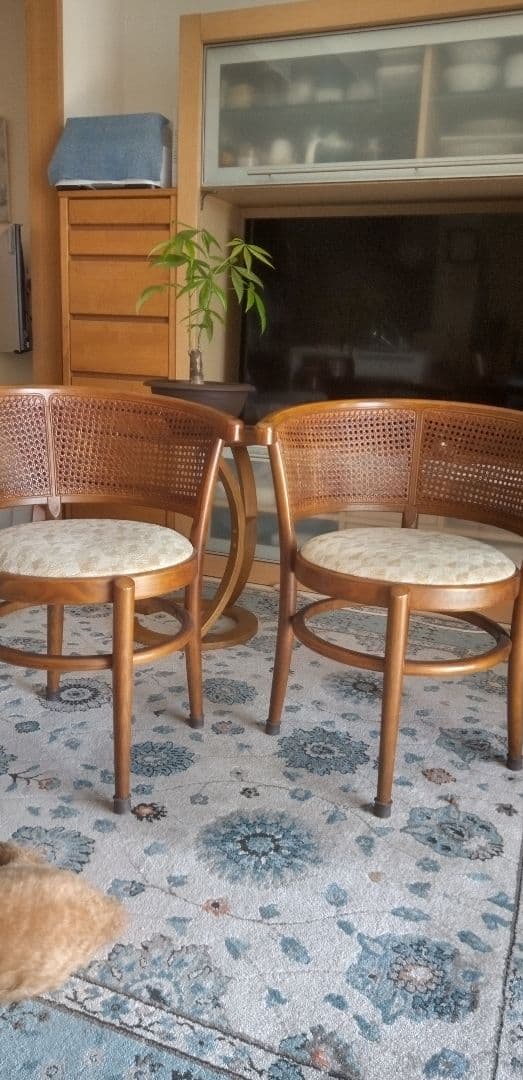 カリモク家具ラタンバックダイニングチェア2脚セット