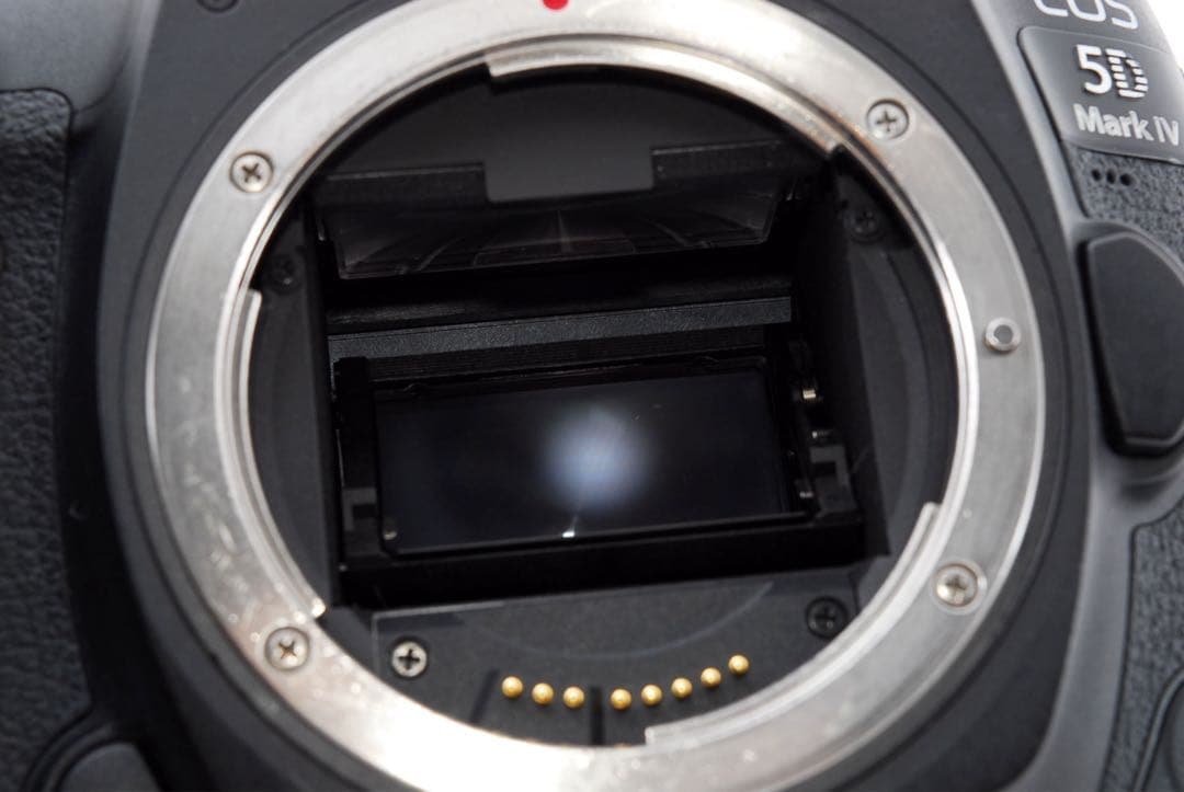 Canon EOS 5D Mark IV標準&望遠&単焦点レンズセット