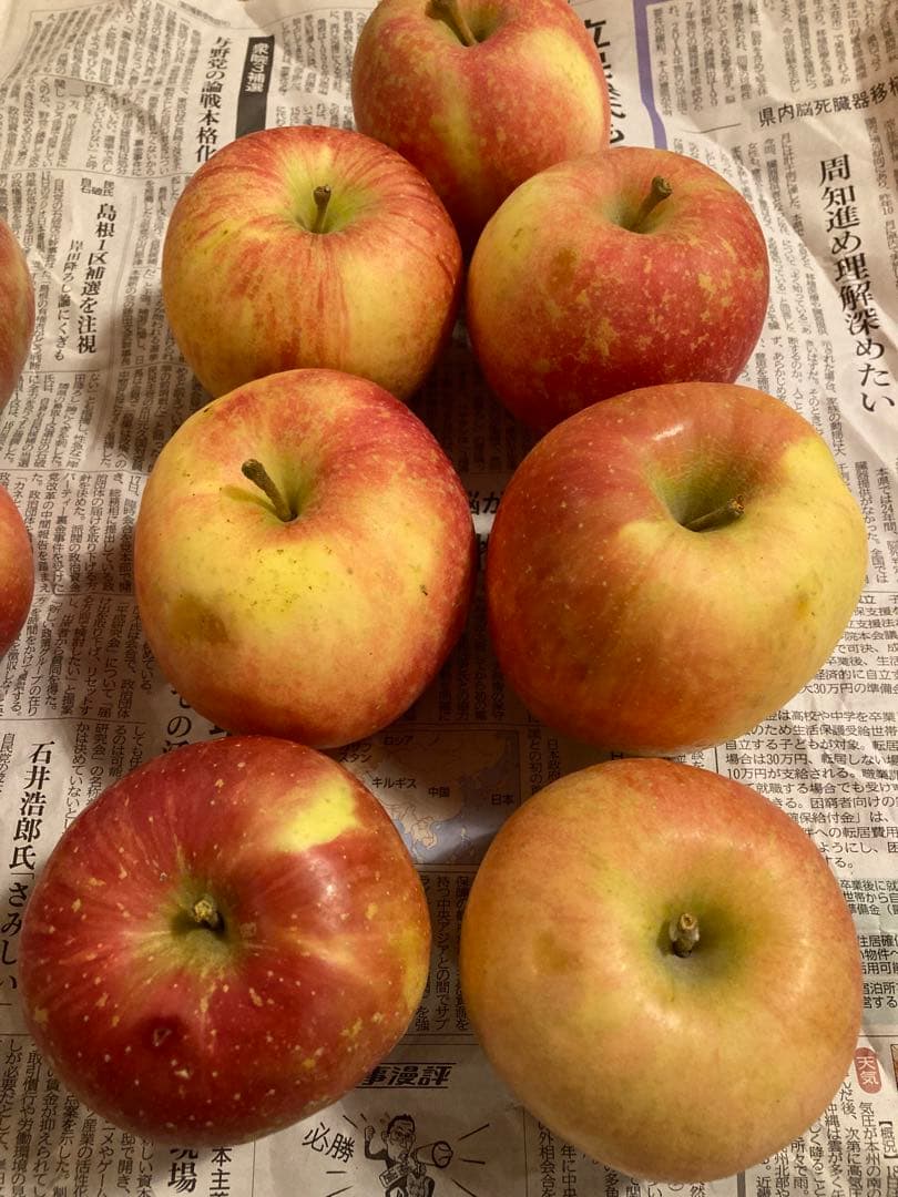 【ご確認用】新鮮なリンゴ 中サイズ 赤と黄色のグラデーション