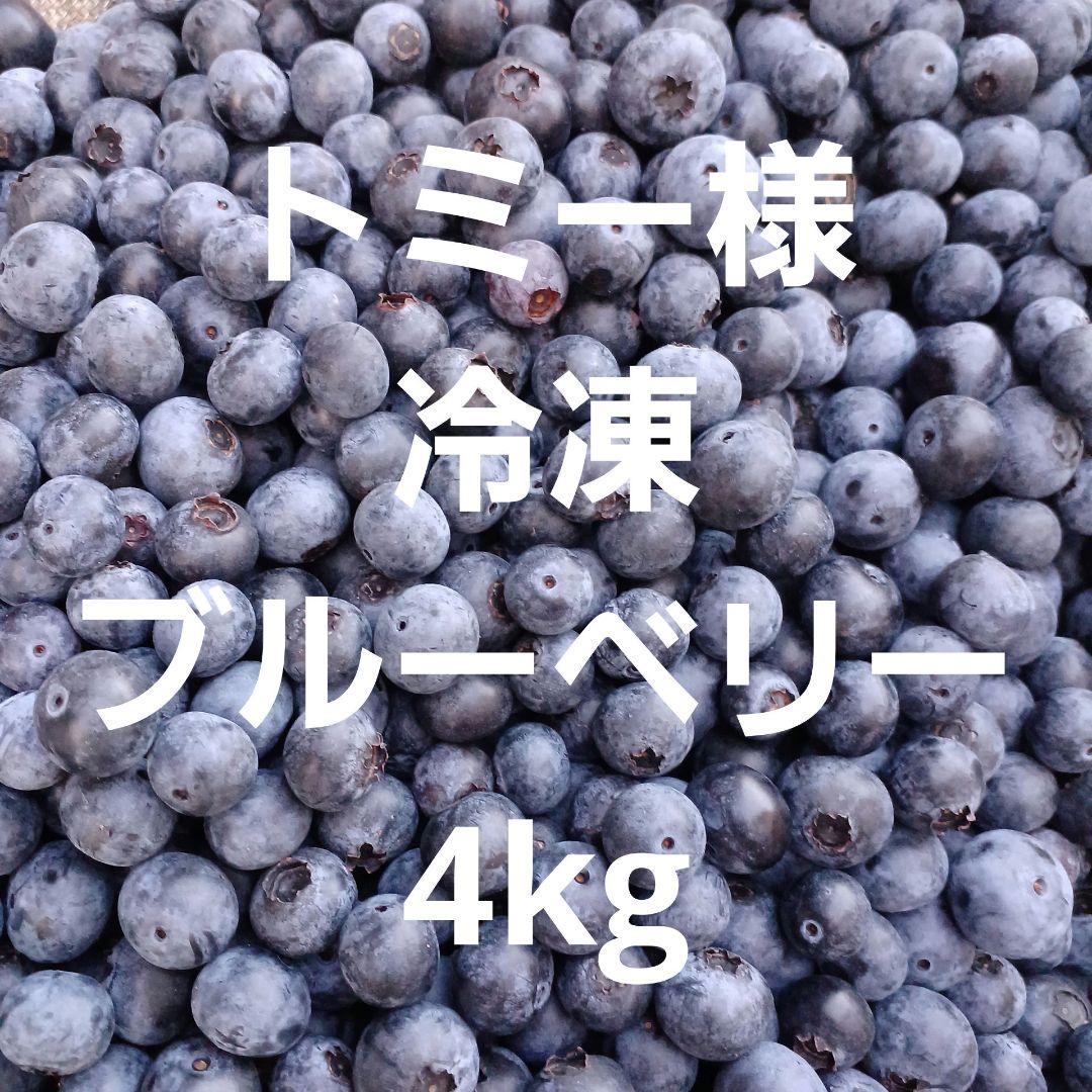 トミー様予約　冷凍　ブルーベリー　4kg