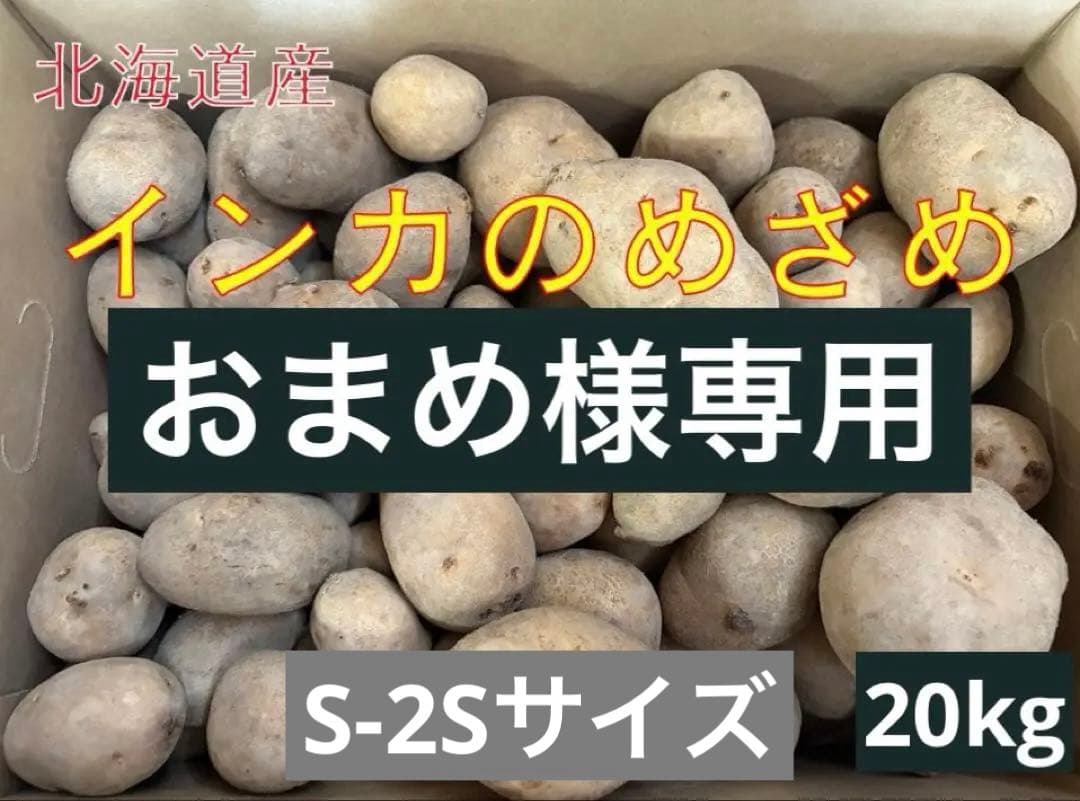 【おまめ】北海道産じゃがいも（インカのめざめ）　S-2Sサイズ20kg
