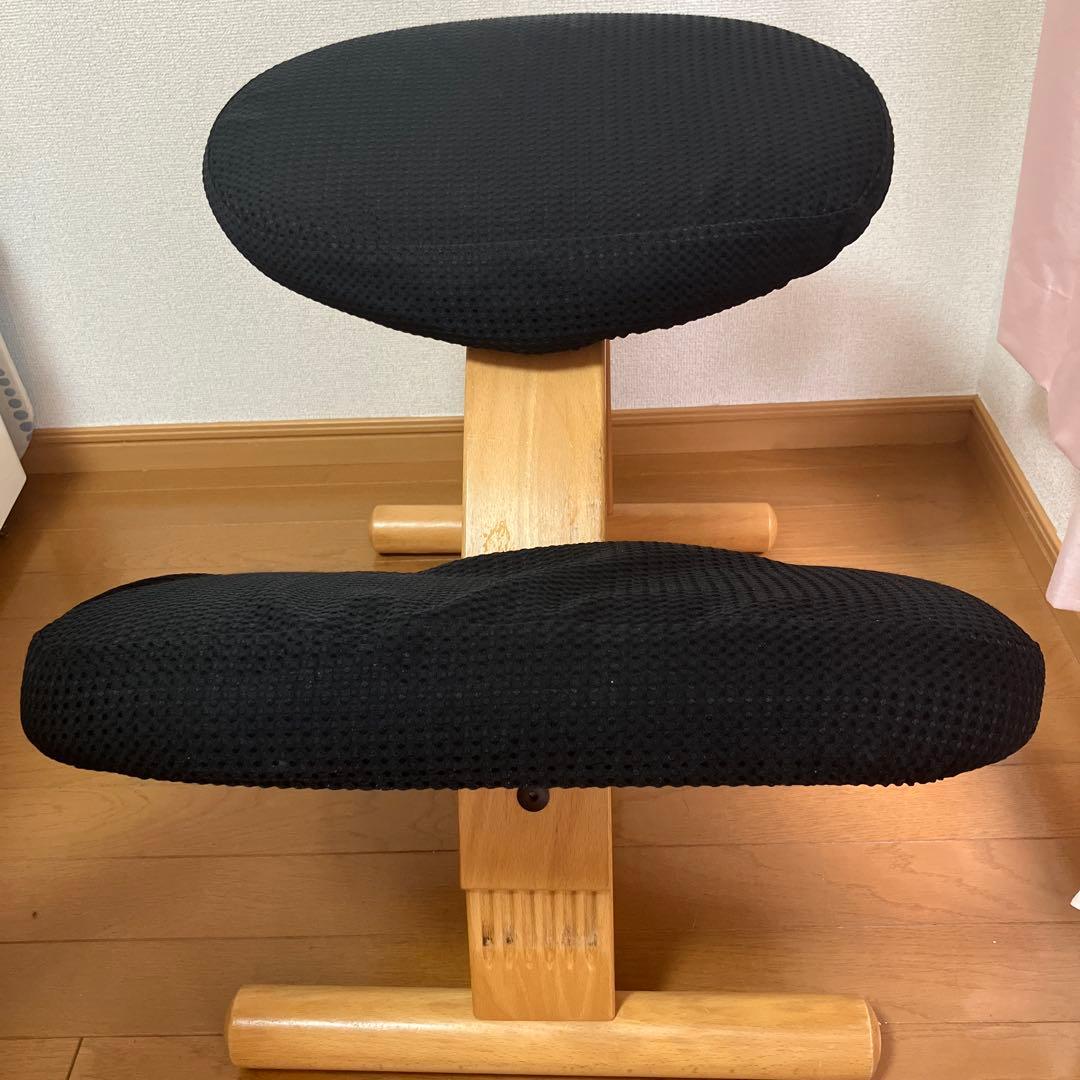 リボ社 バランスチェア balance EASY バランスイージー カバー付き