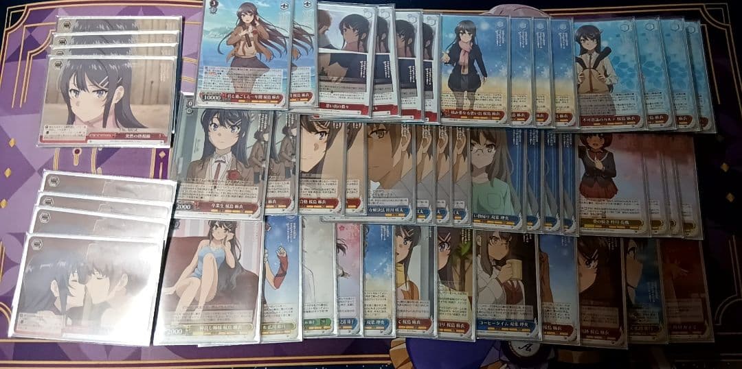 WS 青ブタ 8扉 デッキ