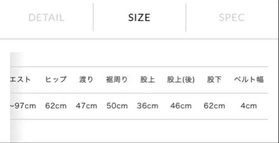 美品タグ付きmizuiro ind ワイドカーゴパンツチャコールグレー