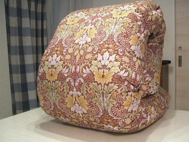 新品＊五つ星ゴールド＊グース（ガチョウ）＊ハンガリーグース９３％＊羽毛ふとんＤ