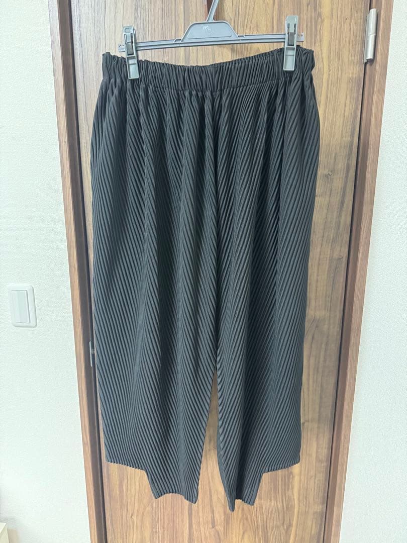 イッセイミヤケ　上下セットアップ　激レア　ISSEY MIYAKE