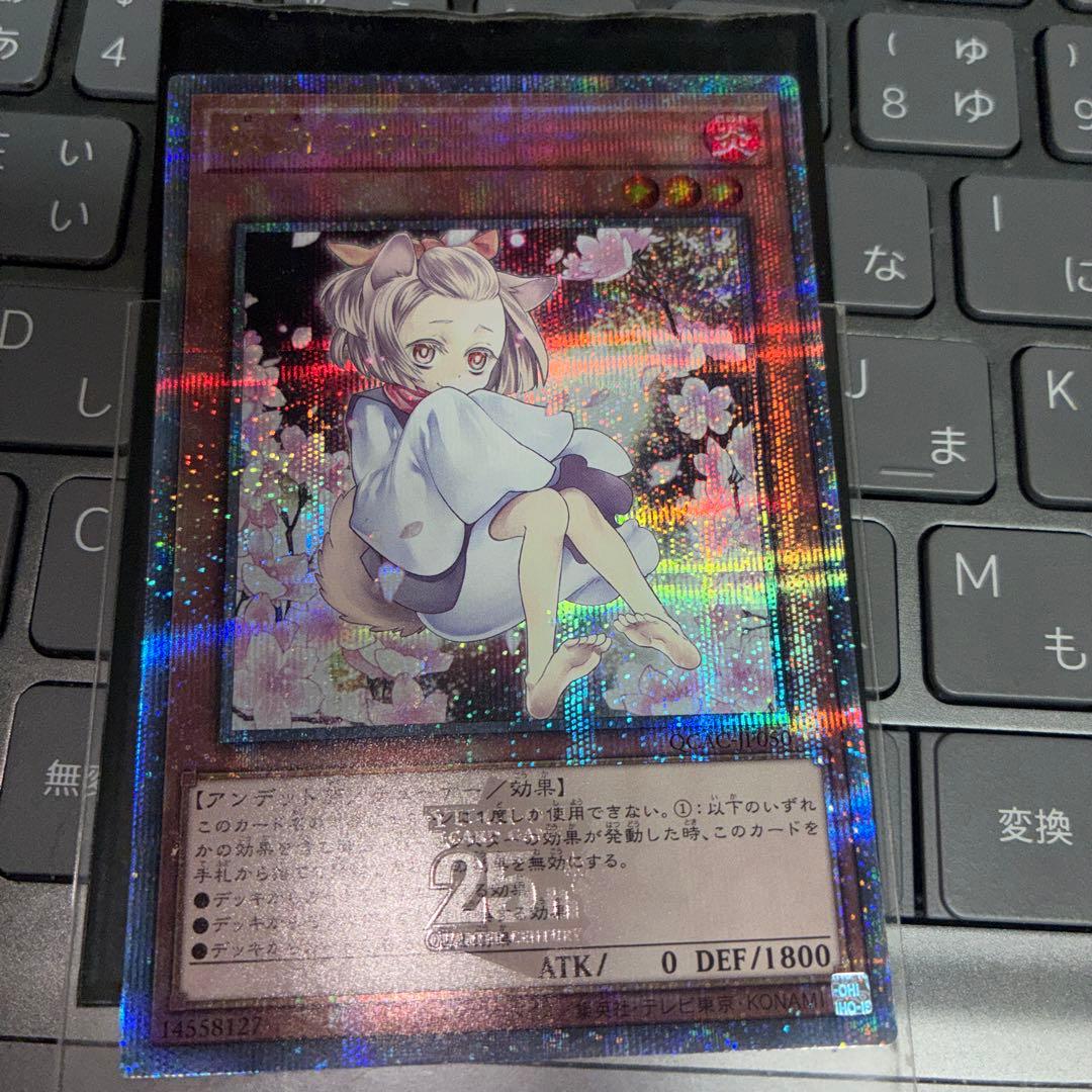 灰流うらら はるうらら　25th 絵違い　クオシク 遊戯王