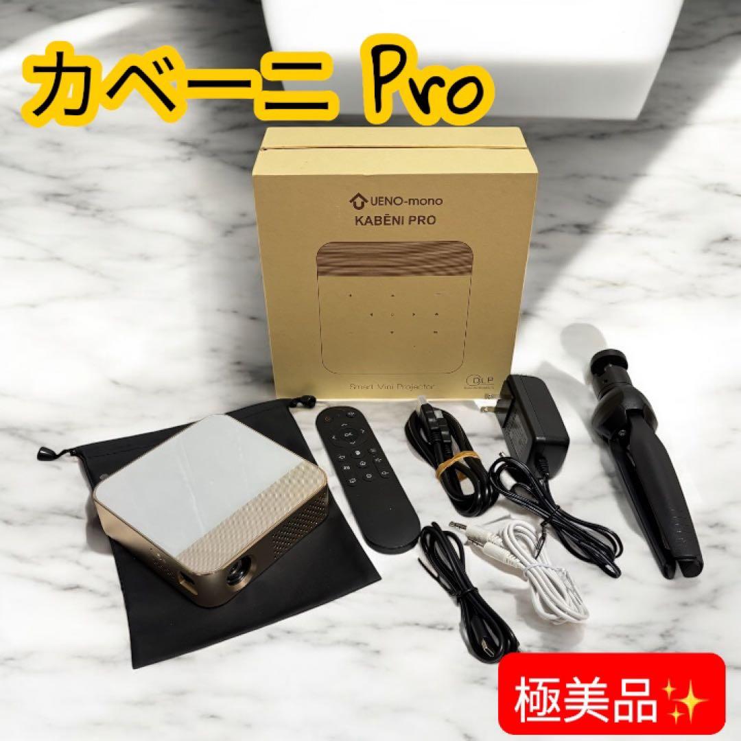 極美品✨◆ 大人気❣️UENO-mono カベーニPro ◆