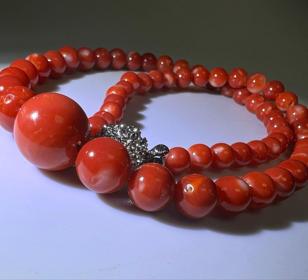 本血赤珊瑚　大玉ネックレス　31g 東Y8-0206☆1Fトサチ