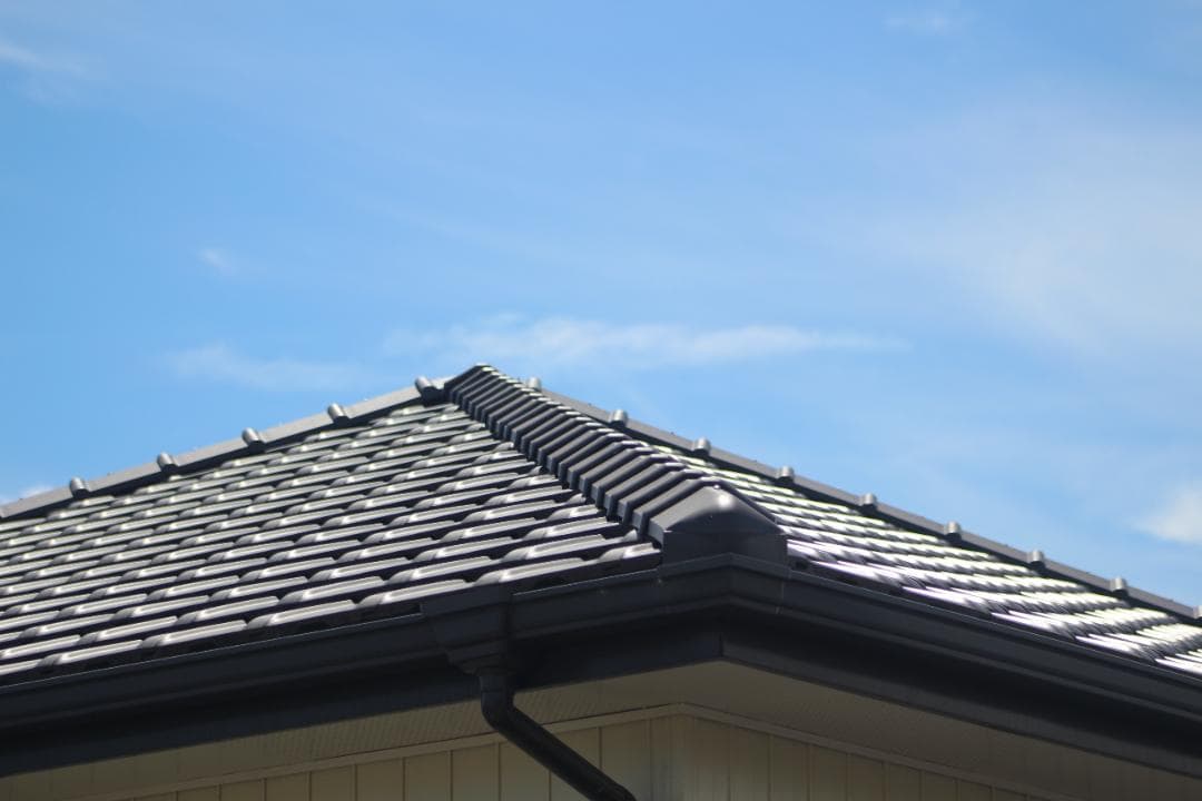 【作例あり】Canon EF 75-300mm 動作良好 軽量で扱いやすい